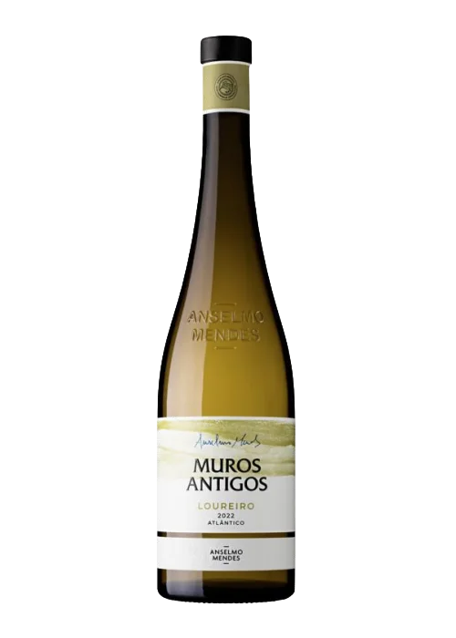 ANSELMO MENDES Muros Antigos Loureiro 2024